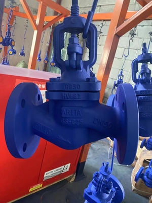 DIN GS-C25 katup bola besi cor (WJ41H) DIN Standard GS-C25 Flang baja karbon RF Bellows Seal Globe Valve