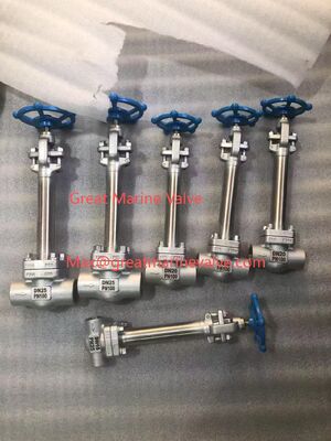 Katup Globe Kriogenik Batang Panjang SUS, BAJA COR -196